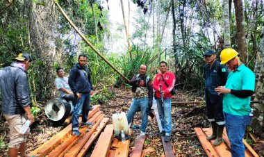 Lima Orang Pembalak Liar di Desa Tamiang Bengkalis Ditangkap, Rambah Area Konsesi Hutan Lindung PT BBHA