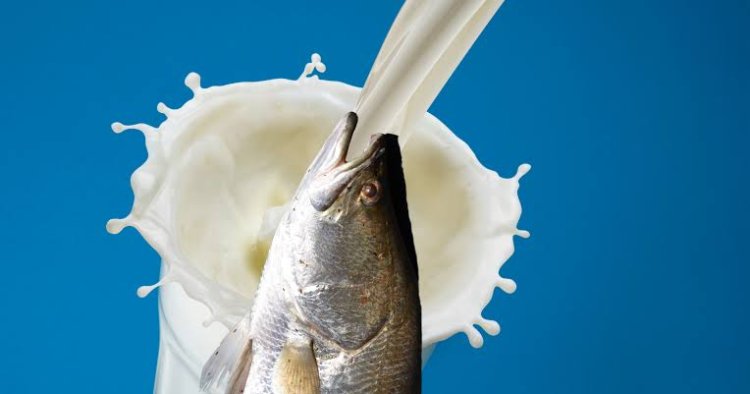 Dukung Susu Ikan, KKP Sorot Warga +62 Makan Protein Kurang dari 100 Gram/Hari