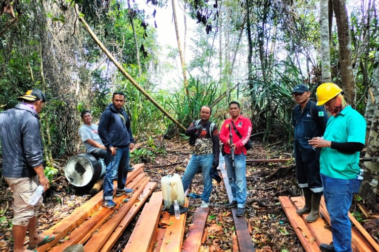 Lima Orang Pembalak Liar di Desa Tamiang Bengkalis Ditangkap, Rambah Area Konsesi Hutan Lindung PT BBHA