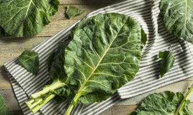 7 Sayuran Terbaik yang Tinggi Kalsium, Jaga Tulang saat Usia Menua