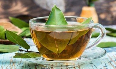 5 Manfaat Air Rebusan Daun Salam untuk Kesehatan, Termasuk Redakan Nyeri Sendi