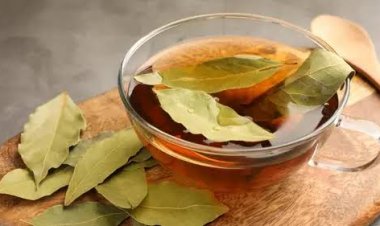 Air Rebusan Daun Salam Bisa Turunkan Kolesterol? Ini Faktanya
