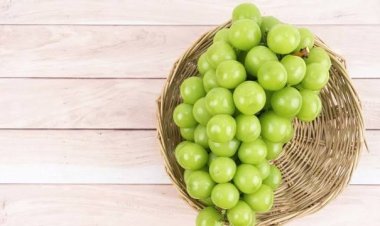 Anggur Shine Muscat di Pekanbaru Aman untuk Dikonsumsi