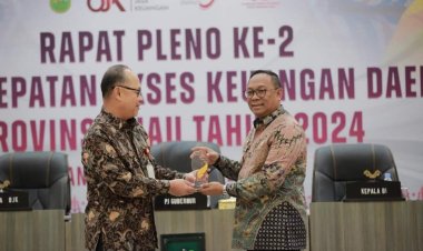 Pemprov Riau Terima Penghargaan KEJAR Terbaik TPAKD Award