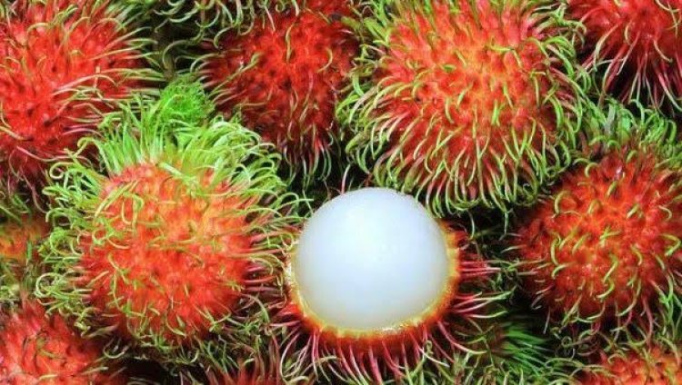 Buah Rambutan: Kandungan Nutrisi dan Manfaatnya untuk Kesehatan