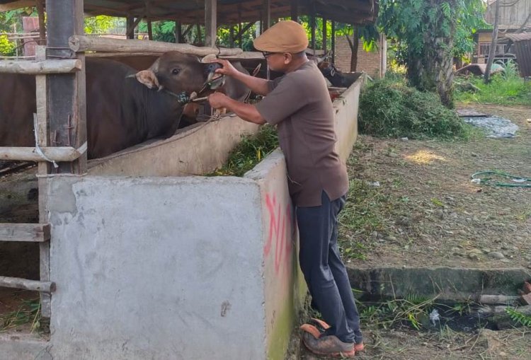 68 orang Tenaga Kesehatan Hewan Disnakbun Rohul Akan Pastikan Hewan Kurban Dalam Kondisi Sehat