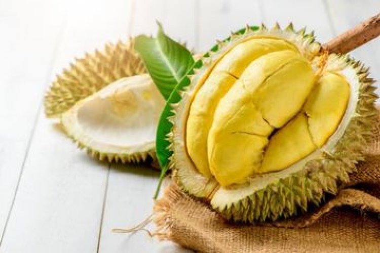 Hati-hati! Berikut Bahaya Berlebihan Makan Durian bagi Kesehatan