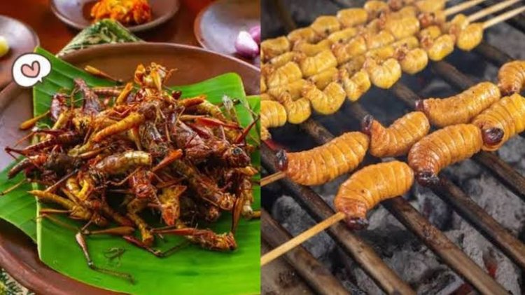 Belalang atau Ulat Sagu Masuk dalam Daftar Menu Makan Bergizi Gratis?