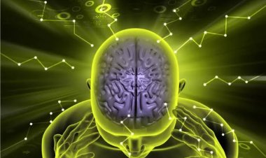 Ciri-ciri Otak Sudah Menua Lebih Cepat Dari Usia