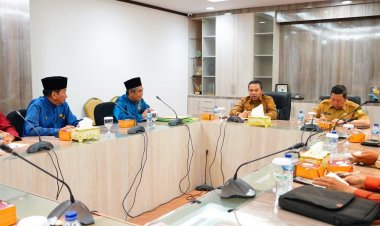 Gubernur Riau Abdul Wahid Dukung Daerah Istimewa Riau