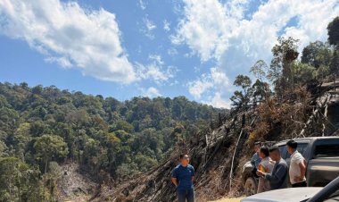 Bakar 10 Hektare Lahan di Kawasan Hutan Produksi Terbatas Tanjung Medan, Tiga Pelaku Diamankan Tim Polres Rohul