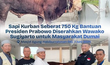 Wawako Dumai Sugiyarto Serahkan Sapi Kurban Presiden Prabowo Seberat 750 Kg untuk Warga 