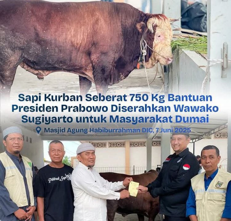 Wawako Dumai Sugiyarto Serahkan Sapi Kurban Presiden Prabowo Seberat 750 Kg untuk Warga