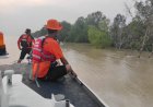 Tarmisi Nelayan Bangko Rohil Diterkam Buaya di Sungai Rokan, Tim SAR Gabungan Masih Cari Korban