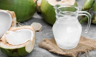 Ini Manfaat Minum Air Kelapa Muda untuk Kesehatan