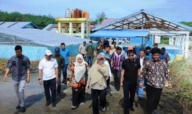 Tinjau Potensi Tambak di Rupat Utara, Wakil Ketua DPRD Riau Budiman Lubis dan Komisi II Kunjungi UPT BBIP