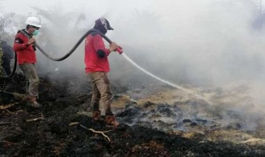 BMKG Pastikan Tak Ada Asap Karhutla Lintasi Batas Negara, Modifikasi Cuaca Terus Berjalan 