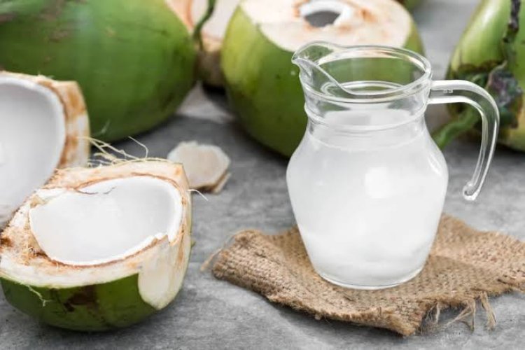 Ini Manfaat Minum Air Kelapa Muda untuk Kesehatan