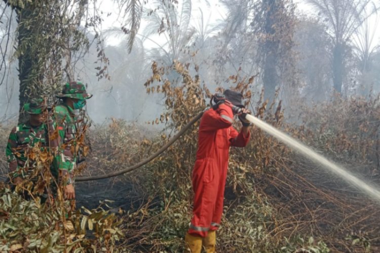 3.031 Titik Hotspot Sepanjang Juli 2025 di Riau, Wakil Menteri Kehutanan dan Kepala BNPB Tinjau Karhutla