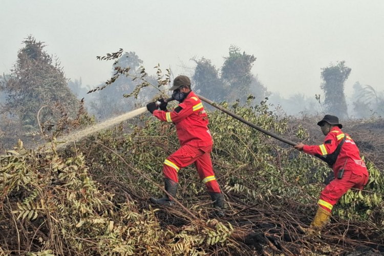 Gubernur Riau Abdul Wahid Tetapkan Status Tanggap Darurat Karhutla, Perkuat Monitoring dan Ground Checking Hotspot