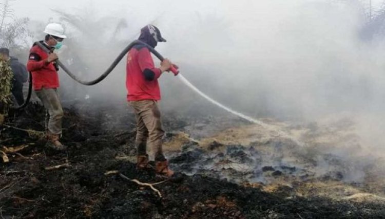BMKG Pastikan Tak Ada Asap Karhutla Lintasi Batas Negara, Modifikasi Cuaca Terus Berjalan