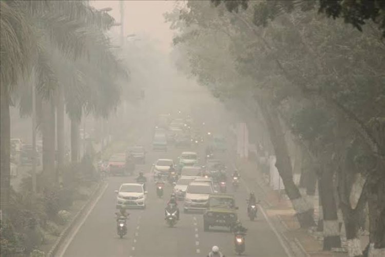 Kualitas Udara Pekanbaru Tidak Sehat, Dinkes Imbau Warga Waspada