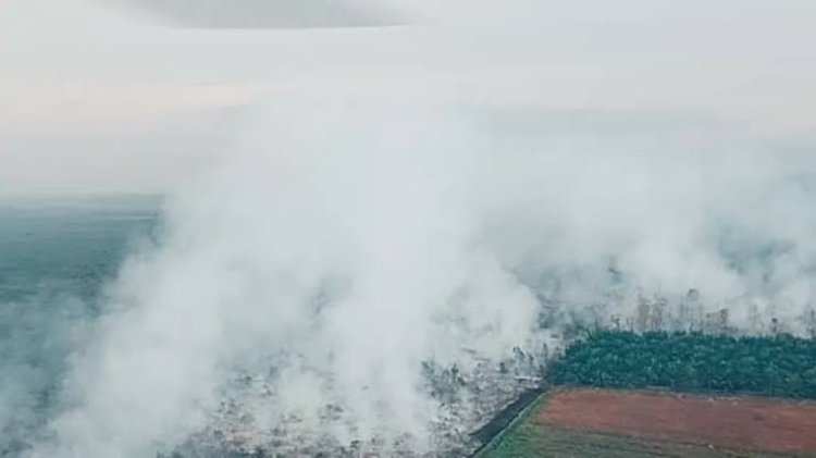 Kabut Asap, Walikota Pekanbaru Tunggu Evaluasi Udara untuk Liburkan Sekolah