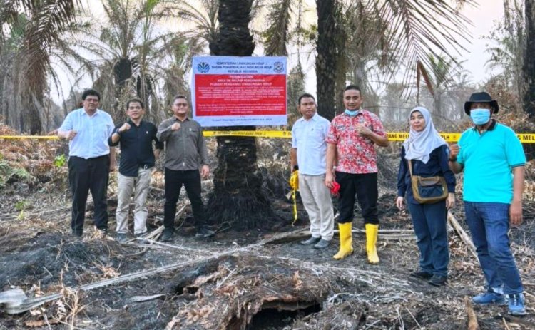 Temukan 13 Hotspot, Kementerian Lingkungan Hidup Segel Lahan Konsesi PT SRL