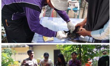 321 Hewan Peliharaan di Tenayan Raya Divaksinasi Rabies