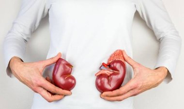 6 Kebiasaan Ini Bisa Merusak Ginjal, Hati-hati yang Sering Makan Manis