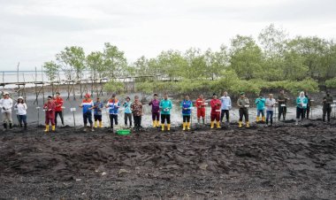 Dinas Lingkungan Hidup Kota Dumai Tanam 2.000 Mangrove di Pesisir Kelurahan Guntung