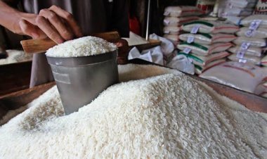 Pemerintah Resmi Naikkan HET Beras Medium, Begini Rinciannya