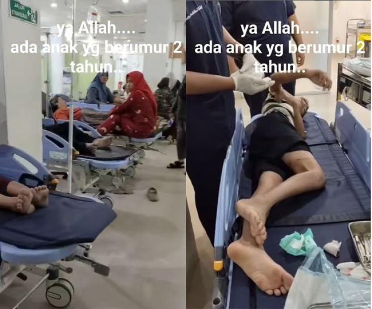 Puluhan Warga Pekanbaru Digigit Anjing, Ada Balita
