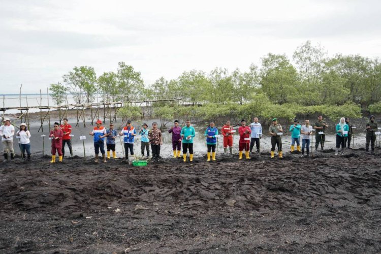Dinas Lingkungan Hidup Kota Dumai Tanam 2.000 Mangrove di Pesisir Kelurahan Guntung