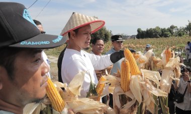 Menilik Gebrakan Duet Agung Nugroho dan Markarius Anwar, Turunkan Parkir Hingga Atasi Sampah di Pekanbaru