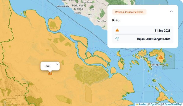 Prakiraan Cuaca BMKG, Waspadai Hujan Lebat Disertai Petir dan Angin Kencang Malam Ini di Wilayah Riau