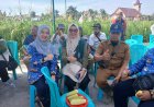 Panen Padi Gogo di Palas, Pemko Pekanbaru Minta Pemprov Riau Bantu Rice Milling