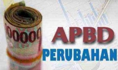 Tujuh Daerah Usulkan APBD P 2025 Untuk Dievaluasi Pemprov Riau