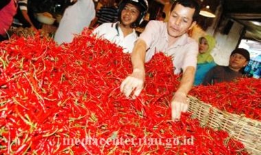 Harga Cabai Merah Melonjak dari Rp40 Ribu per Kg Jadi Rp150 Ribu per Kg, Dampak Banjir dan Longsor di Sumbar dan Sumut