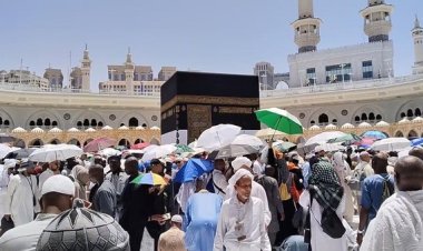 Umrah Mandiri Resmi Dilegalkan, Pengusaha Travel Syok
