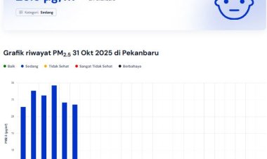 Riau Tak Ada Hujan 10 Hari Terakhir, Kualitas Udara Pekanbaru 31 Oktober 2025 Terpantau Sedang