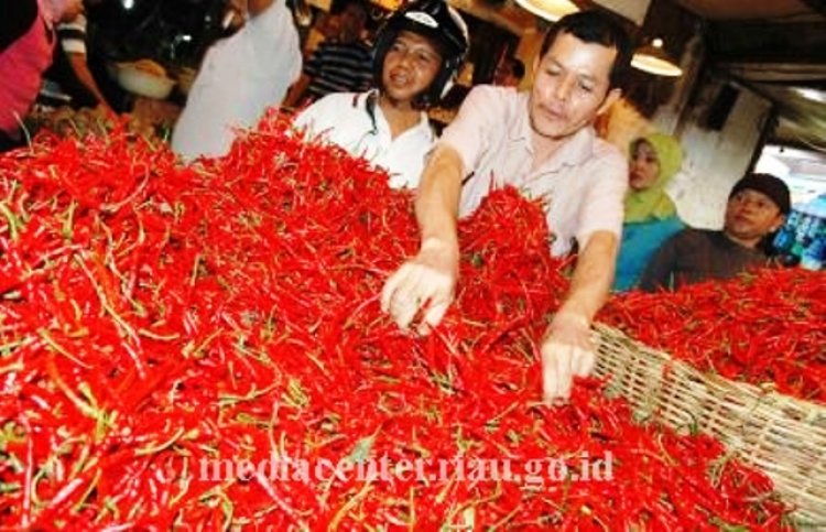 Harga Cabai Merah Melonjak dari Rp40 Ribu per Kg Jadi Rp150 Ribu per Kg, Dampak Banjir dan Longsor di Sumbar dan Sumut