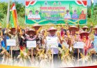 Wabup Rohul Syafaruddin Poti Hadiri Panen Jagung BUMDes Maju Bersama Desa Kepenuhan Hilir