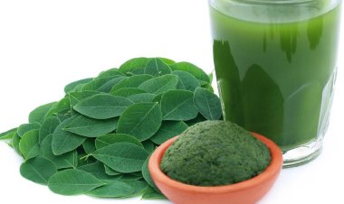 Rasa Mirip Matcha, Ini 9 Manfaat Daun Kelor untuk Kesehatan