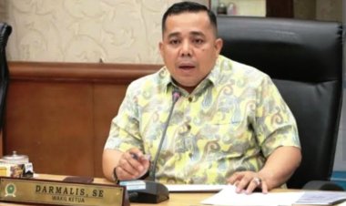 Tiga Ruas Jalan Provinsi di Rohil Rusak Berat, Wakil Ketua Komisi IV DPRD Riau Darmalis Desak PUPR Turunkan Alat