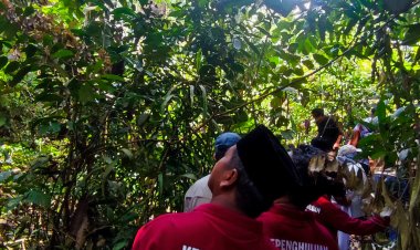 Kearifan Lanskap Hutan Ulayat Kepenghuluan Langgam, Kisah Harimau Penjaga Kampung hingga Tanaman Obat
