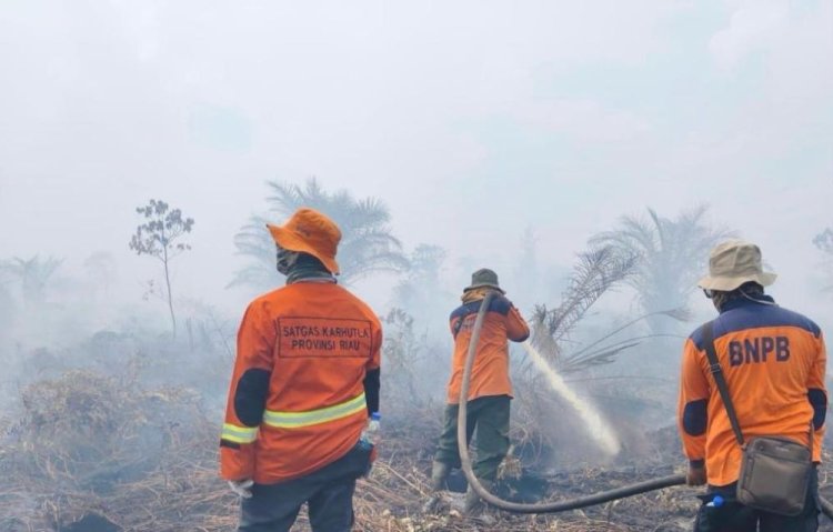41 Titik Panas Terpantau di Riau, Kampar Terbanyak 9 Titik, Karhutla di Tujuh Daerah Masih Terus Dipadamkan Tim Gabungan
