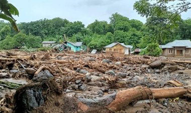 Data BNPB: Korban Meninggal Bencana Sumatera 780 Jiwa, 564 Masih Hilang
