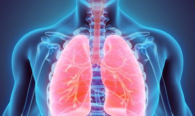 3 Kebiasaan Sehari-Hari yang Bikin Fungsi Paru-Paru Tetap Optimal