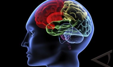 5 Kebiasaan Simpel yang Bisa 'Restart' Otak dari Nol Versi Neurolog